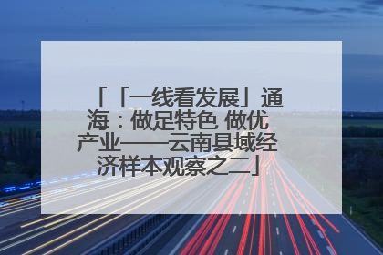 「一线看发展」通海：做足特色 做优产业——云南县域经济样本观察之二