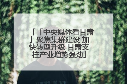 「中央媒体看甘肃」聚焦集群建设 加快转型升级 甘肃支柱产业增势强劲