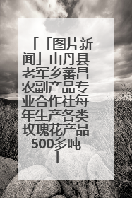 「图片新闻」山丹县老军乡蕃昌农副产品专业合作社每年生产各类玫瑰花产品500多吨