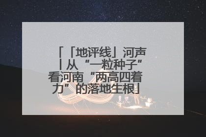 「地评线」河声丨从“一粒种子”看河南“两高四着力”的落地生根