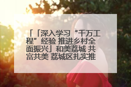 「深入学习“千万工程”经验 推进乡村全面振兴」和美荔城 共富共美 荔城区扎实推进乡村振兴工作