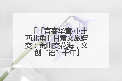 「青春华章·重走西北角」甘肃文旅嬗变：荒山变花海，文创“语”千年