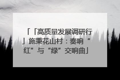 「高质量发展调研行」施秉花山村：奏响“红”与“绿”交响曲
