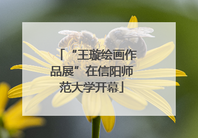 “王璇绘画作品展”在信阳师范大学开幕