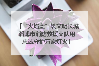 “火焰蓝”筑文明长城 淄博市消防救援支队用忠诚守护万家灯火