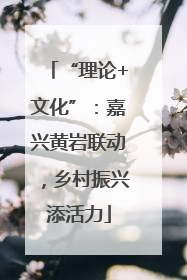 “理论+文化”：嘉兴黄岩联动，乡村振兴添活力