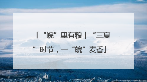 “皖”里有粮｜“三夏”时节，一“皖”麦香