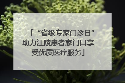 “省级专家门诊日”助力江陵患者家门口享受优质医疗服务