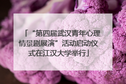 “第四届武汉青年心理情景剧展演”活动启动仪式在江汉大学举行