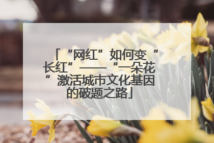 “网红”如何变“长红”——“一朵花”激活城市文化基因的破题之路