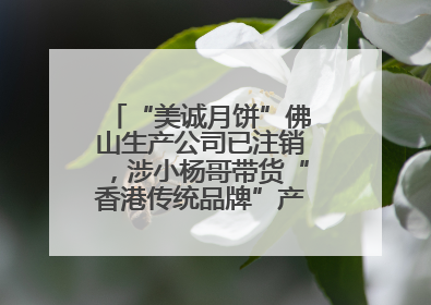 “美诚月饼”佛山生产公司已注销，涉小杨哥带货“香港传统品牌”产地争议事件