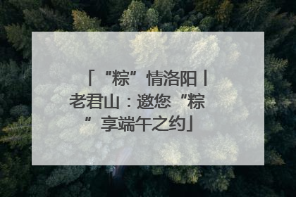 “粽”情洛阳丨老君山：邀您“粽”享端午之约