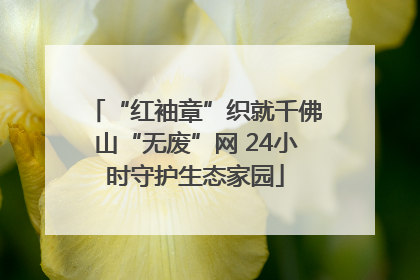 “红袖章”织就千佛山“无废”网 24小时守护生态家园