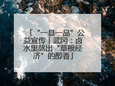 “一县一品”公益宣传丨武冈：卤水里熬出“草根经济”的醇香