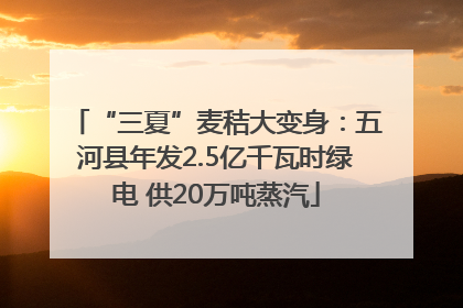 “三夏”麦秸大变身：五河县年发2.5亿千瓦时绿电 供20万吨蒸汽