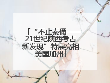 “不止秦俑——21世纪陕西考古新发现”特展亮相美国加州
