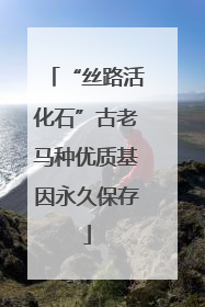 “丝路活化石”古老马种优质基因永久保存