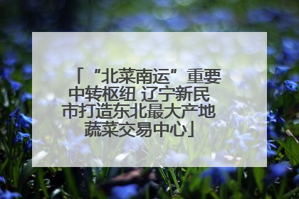“北菜南运”重要中转枢纽 辽宁新民市打造东北最大产地蔬菜交易中心
