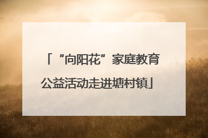 “向阳花”家庭教育公益活动走进塘村镇