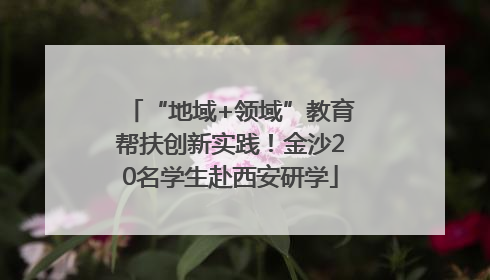 “地域+领域”教育帮扶创新实践！金沙20名学生赴西安研学