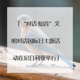 “对话·知音”文明对话国际日主题活动在尼日利亚举行