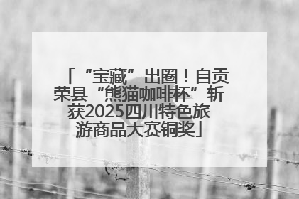 “宝藏”出圈！自贡荣县“熊猫咖啡杯”斩获2025四川特色旅游商品大赛铜奖
