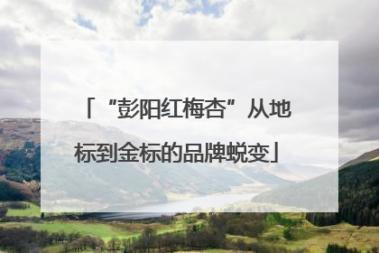 “彭阳红梅杏”从地标到金标的品牌蜕变