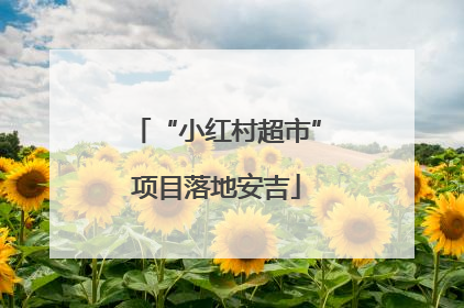 “小红村超市”项目落地安吉