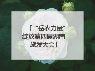 “岳农力量”绽放第四届湖南旅发大会