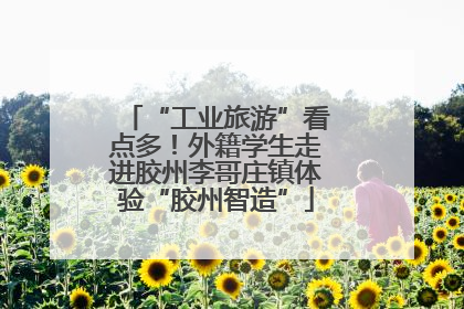 “工业旅游”看点多！外籍学生走进胶州李哥庄镇体验“胶州智造”