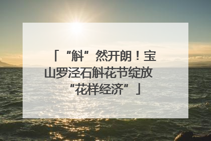 “斛”然开朗！宝山罗泾石斛花节绽放“花样经济”