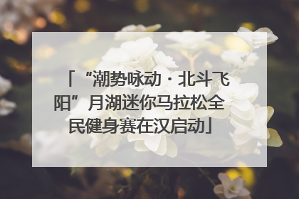 “潮势咏动・北斗飞阳”月湖迷你马拉松全民健身赛在汉启动