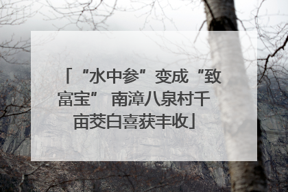 “水中参”变成“致富宝” 南漳八泉村千亩茭白喜获丰收