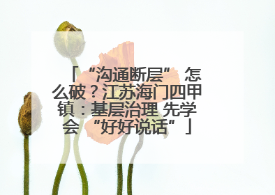 “沟通断层” 怎么破？江苏海门四甲镇：基层治理 先学会 “好好说话”