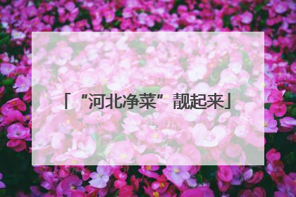 “河北净菜”靓起来