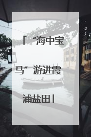 “海中宝马”游进霞浦盐田