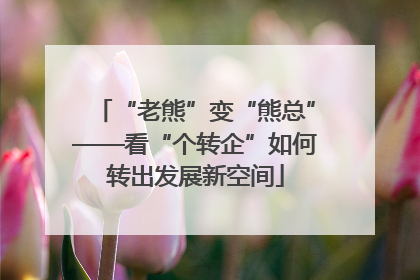 “老熊”变“熊总”——看“个转企”如何转出发展新空间