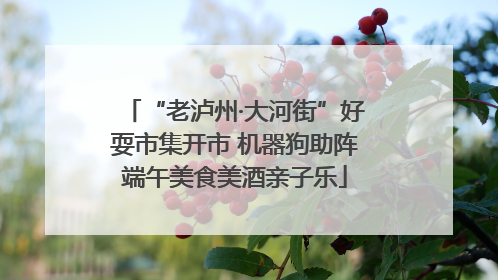 “老泸州·大河街”好耍市集开市 机器狗助阵端午美食美酒亲子乐