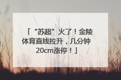 “苏超”火了！金陵体育直线拉升，几分钟20cm涨停！