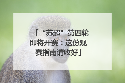 “苏超”第四轮即将开赛：这份观赛指南请收好