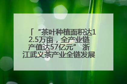 “茶叶种植面积达12.5万亩，全产业链产值达57亿元” 浙江武义茶产业全链发展“加速度”
