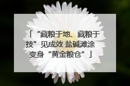 “藏粮于地、藏粮于技”见成效 盐碱滩涂变身“黄金粮仓”