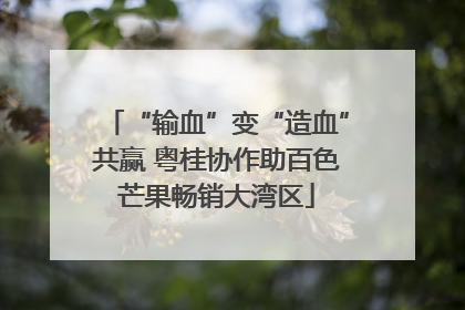 “输血”变“造血”共赢 粤桂协作助百色芒果畅销大湾区
