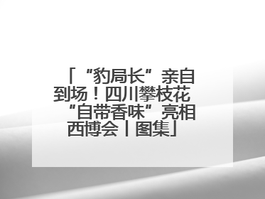 “豹局长”亲自到场！四川攀枝花“自带香味”亮相西博会丨图集
