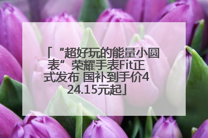 “超好玩的能量小圆表”荣耀手表Fit正式发布 国补到手价424.15元起