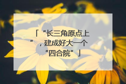 “长三角原点上”，建成好大一个“四合院”