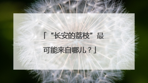 “长安的荔枝”最可能来自哪儿？