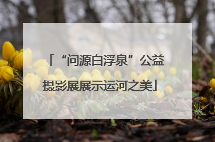 “问源白浮泉”公益摄影展展示运河之美