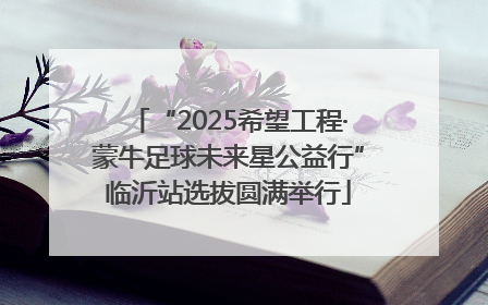 “2025希望工程·蒙牛足球未来星公益行”临沂站选拔圆满举行