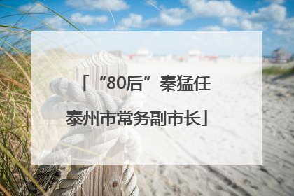 “80后”秦猛任泰州市常务副市长
